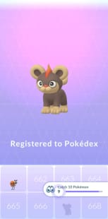 Registered to pokedex